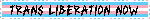 trans pride flag blinkie with text 'trans liberation now' in caps